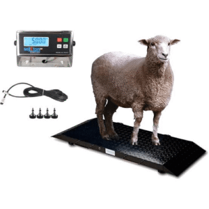 Animal Weighing Scales