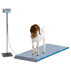 Animal Weighing Scales